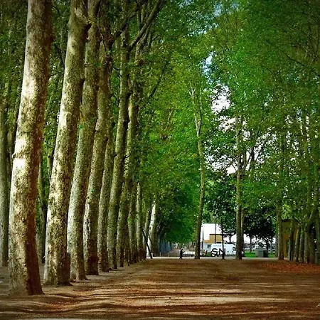 Acogedor Centro Lägenhet