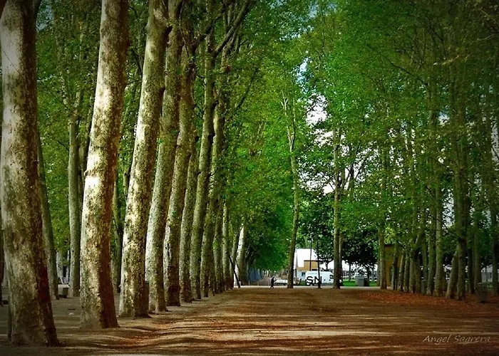 Acogedor Centro 아파트